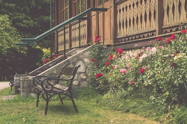 区对决的新 区对决的新