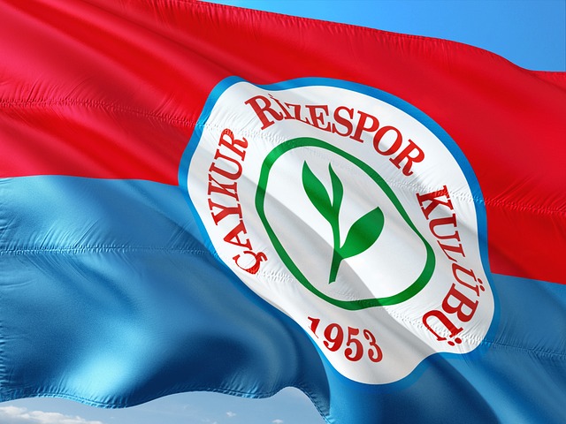 費內巴切和 費內巴切和