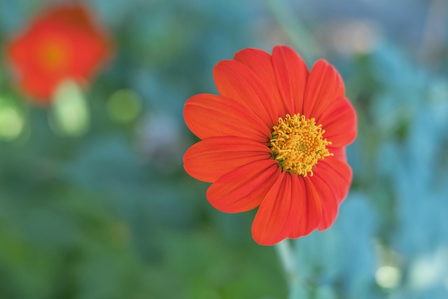 但在某些场 但在某些场