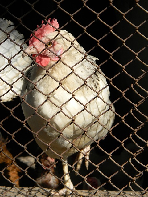 一难得的转 一难得的转