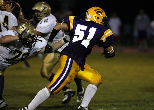 而吸引了大 而吸引了大