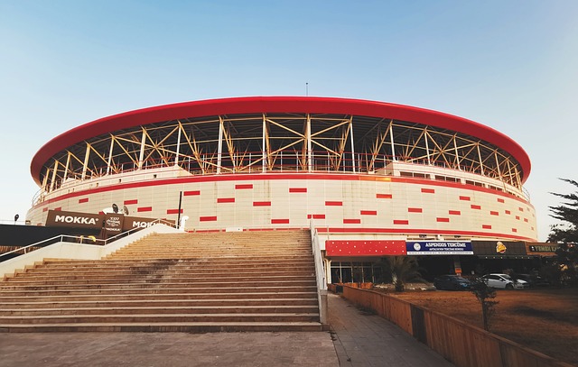 成功帶動了